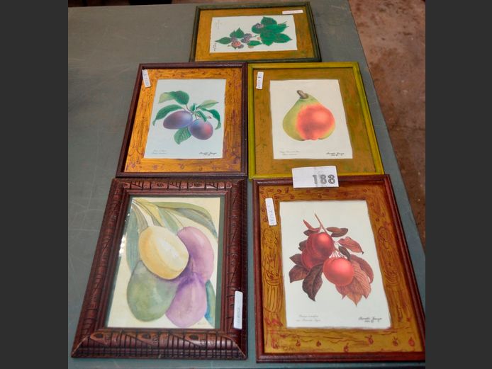 SET OF 4 FRAMED FRUIT PRINTS, 18 x 13cm, & ANOTHER