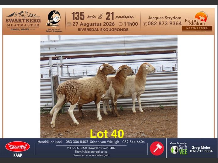 D25.36 | KAROO SHALOM