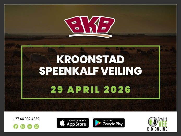 KROONSTAD SPEENKALF VEILING