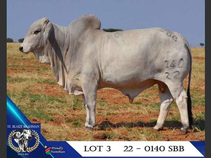 22-0140SBB | ST. BLAIZE BRAHMAN STOET