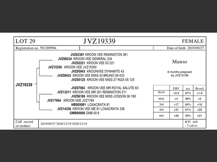 JVZ19-339