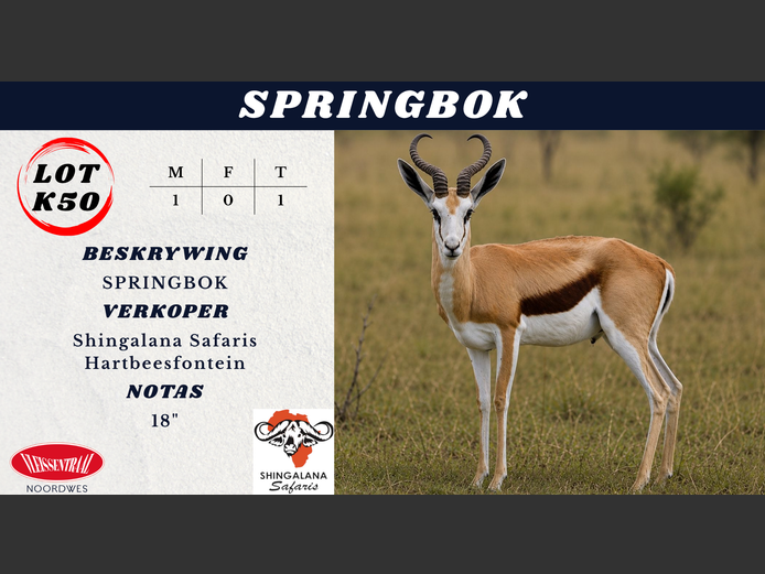 SPRINGBOK