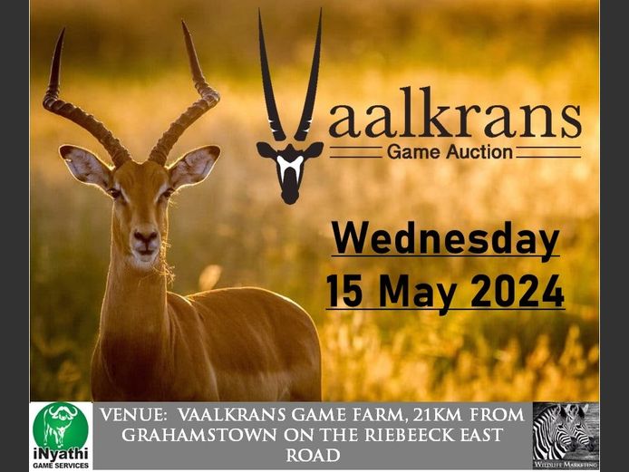 VAALKRANS GAME AUCTION