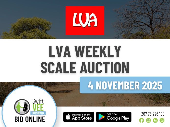 LVA WEEKLY SCALE AUCTION 