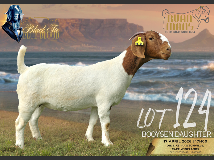 1584 24-49 | Ruan Mans Boerbokstoet