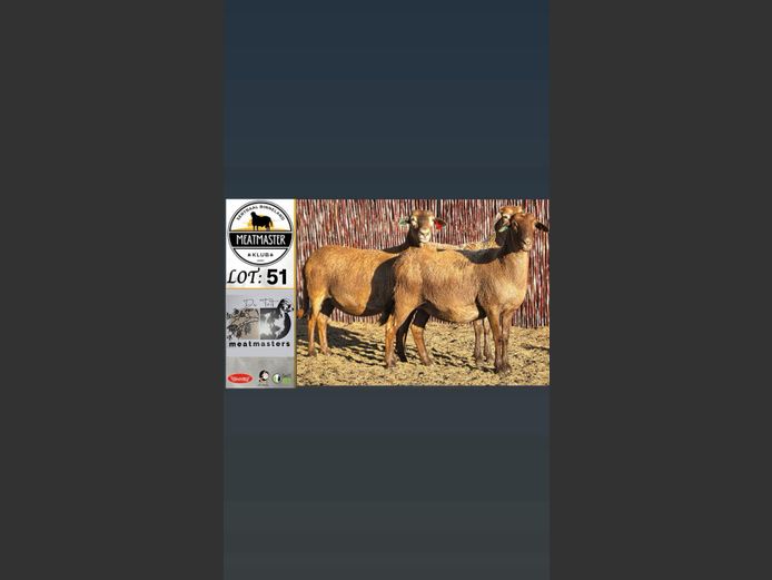 Ooie | Du Toit Meatmasters