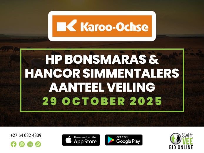 HP BONSMARAS & HANCOR SIMMENTALERS AANTEELVEILING