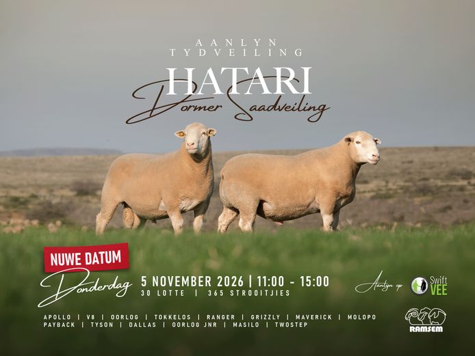 HATARI DORMER SAADVEILING