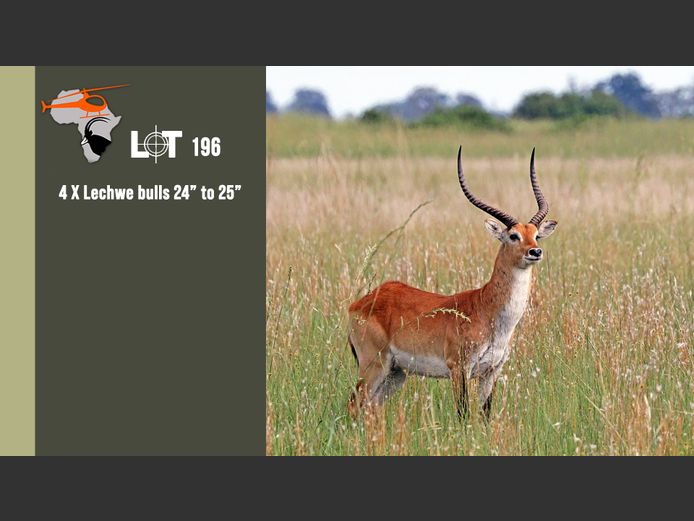 Lechwe 