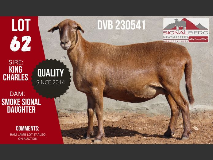 DVB 230541 | SIGNALBERG MEATMASTERS