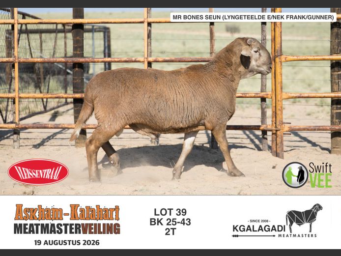 BK 25-43 | BARRI KNOETZE