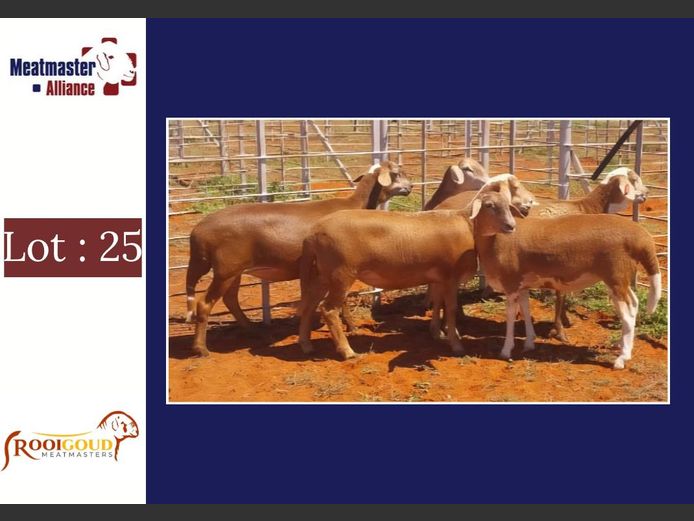 Ooie | Rooigoud Meatmasters