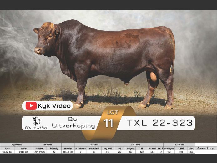 TXL22-323