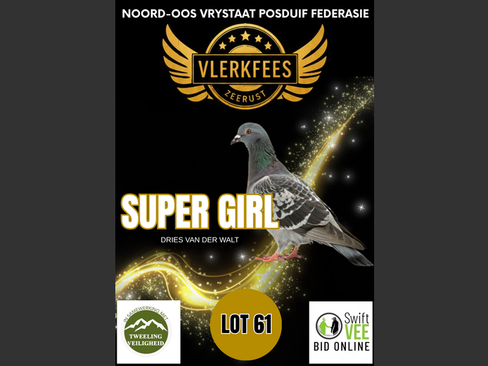 SUPER GIRL | DRIES VAN DER WALT