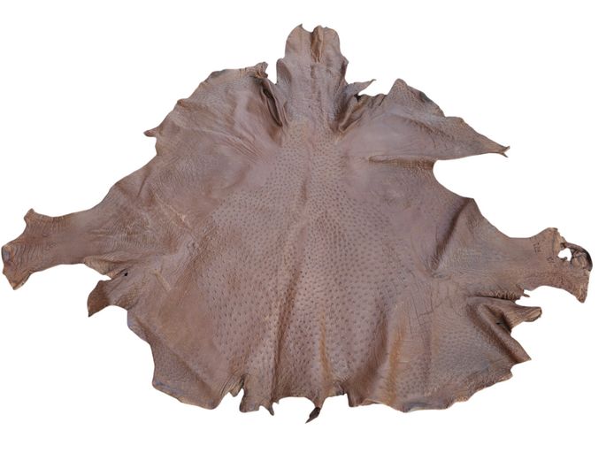 Genuine Brown Ostrich Leather Game Hide Skin
