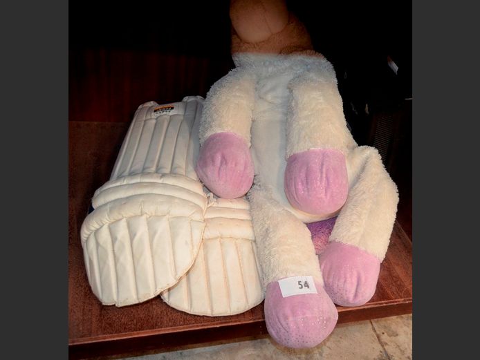 UNICORN SOFT TOY, CRICKET PADS, Etc