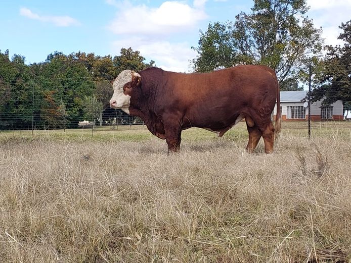 CAB2114 | MG & ML BEUKES