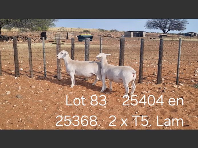 916250404W | R.J. CAHL & SON CC