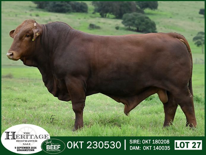OKT 230530 HH | SUPER PRO DAIRY