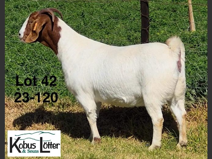 1384230120 | DIRK LOTTER