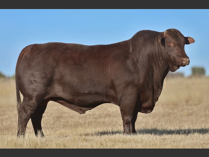 VV  220140 | T. DE JAGER