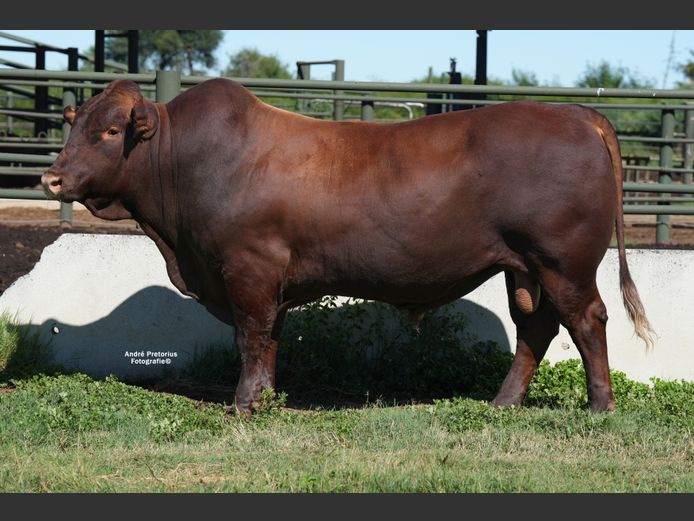 WVZ230013 | THUSO GRAAN EDMS BPK