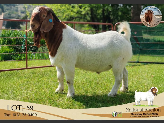 1028-25-0400 | Garslands Boerdery