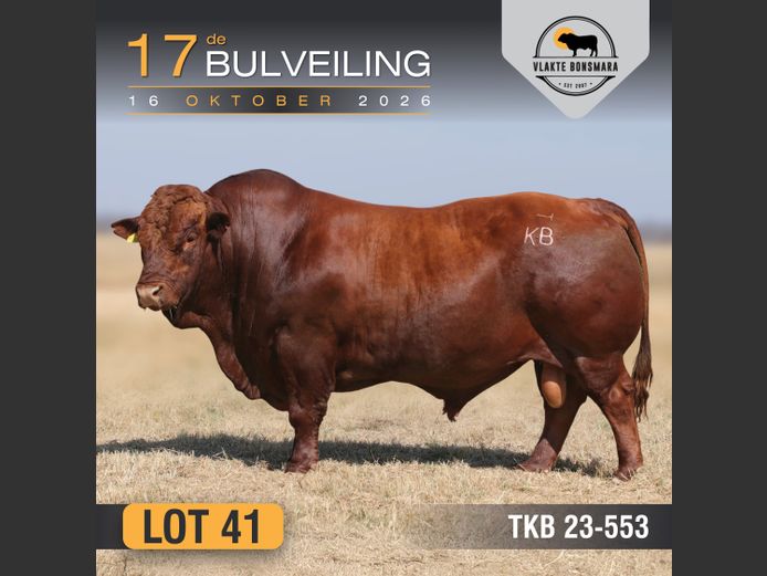 TKB230553 | TIAN KRUGER BOERDERY PTY LTD
