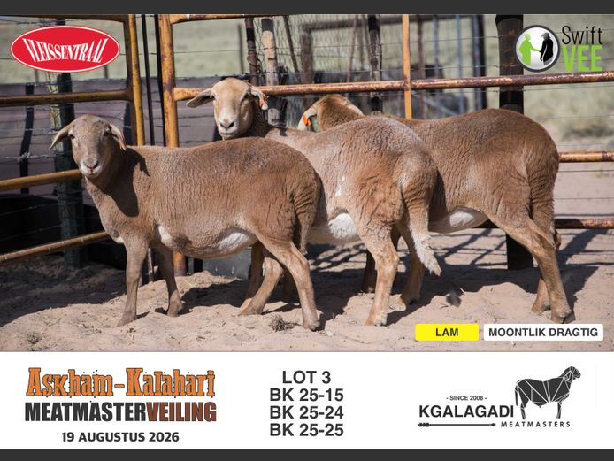 BK 25-15 | BARRI KNOETZE