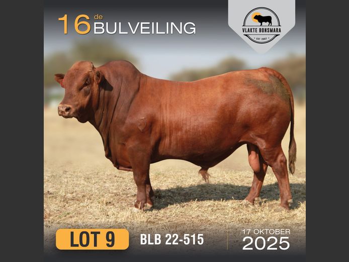 BLB 220515 | BOSLAND BOERDERY