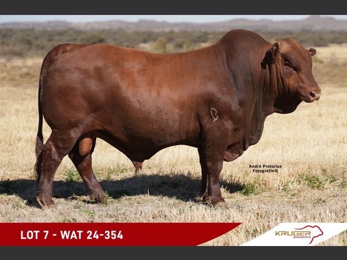 WAT240354 | KRUGER BOERDERY
