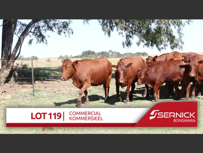 Commercial Animals