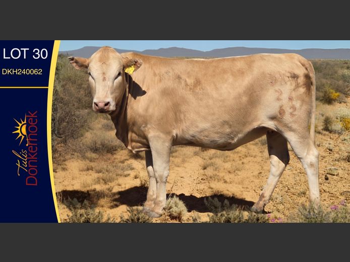 DKH240062 | DONKERHOEK BOERDERY TRUST