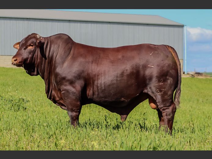 KT  220037 | KOCH FAMILIE TRUST