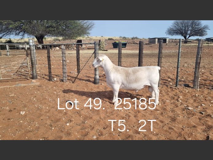 916250185W | R.J. CAHL & SON CC