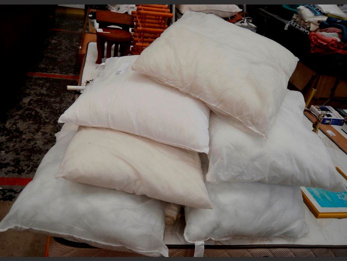ASSORTED SCATTER CUSHIONS [No covers]
