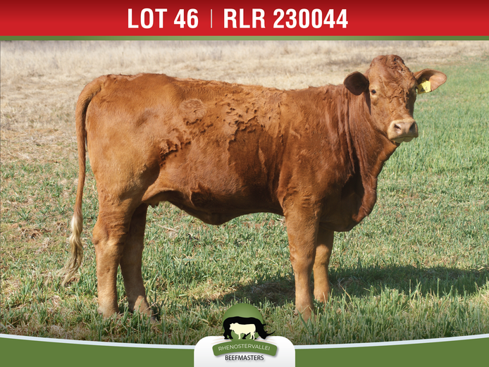 RLR 230044 | J.H. MEYER
