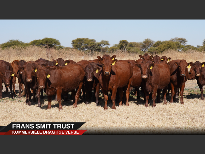 Commercial Animals | Sabra Properties -
Vaalwater


