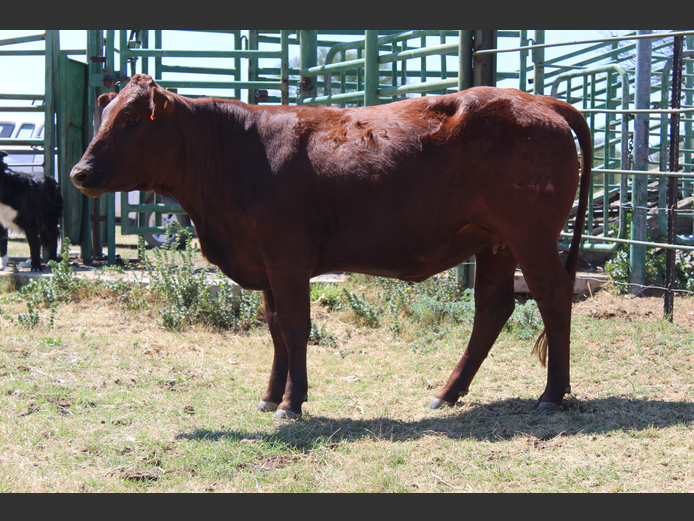 GA  230244 | GANNA AAR BOERDERY (EDMS) BPK