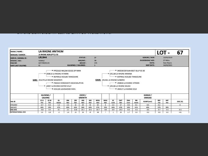 LR1944