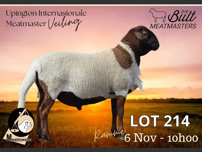 DVS 24-4209 | DIE BULT MEATMASTERS