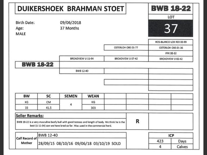 BWB 18-22