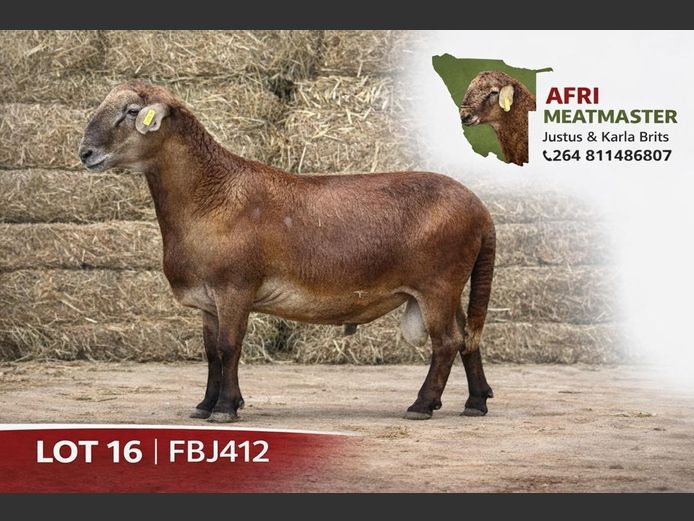 FBJ412 | AFRI MEATMASTER