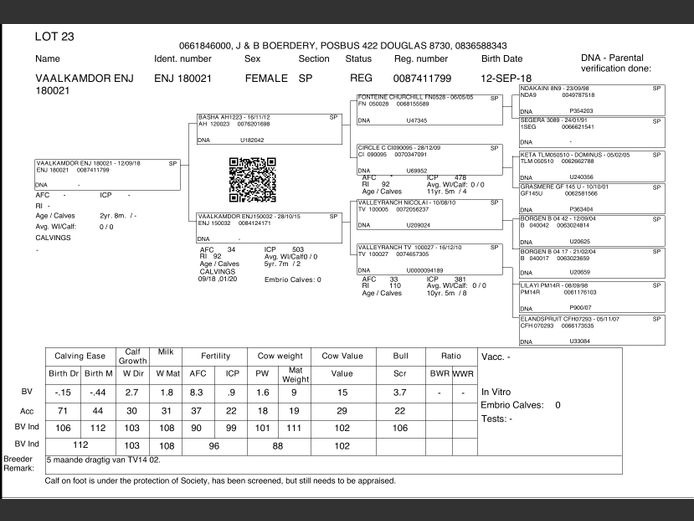 ENJ 180021