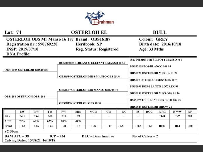 OSTERLOH BRAHMAN OBS16187