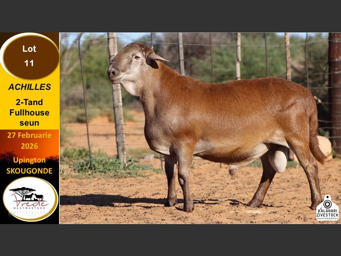 PS 25 79  | Peter & Christia Scholtz - Vrede Meatmasters