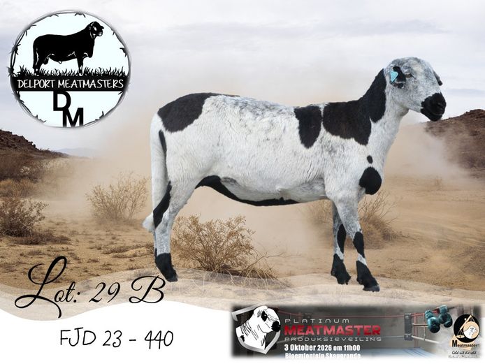 FJD 23-440 | Delport Boerdery