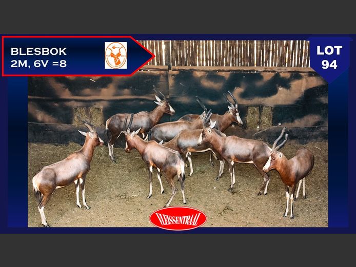 BLESBOK