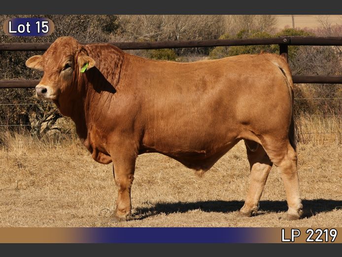 LP2219 | MARATANA BOERDERY 