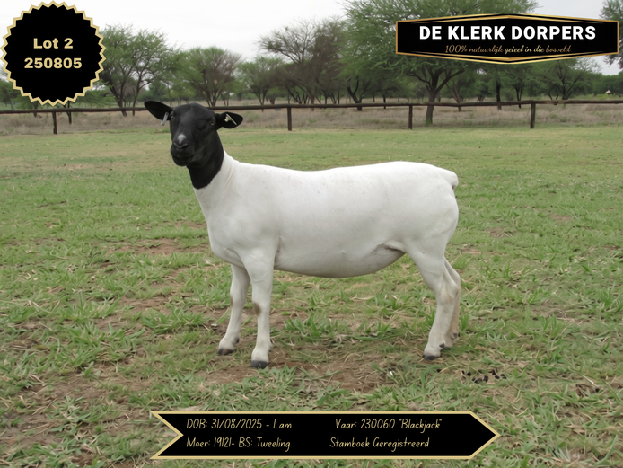 250805 | DE KLERK DORPERS